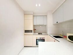 The Florence Residences (D19), Apartment #462736321